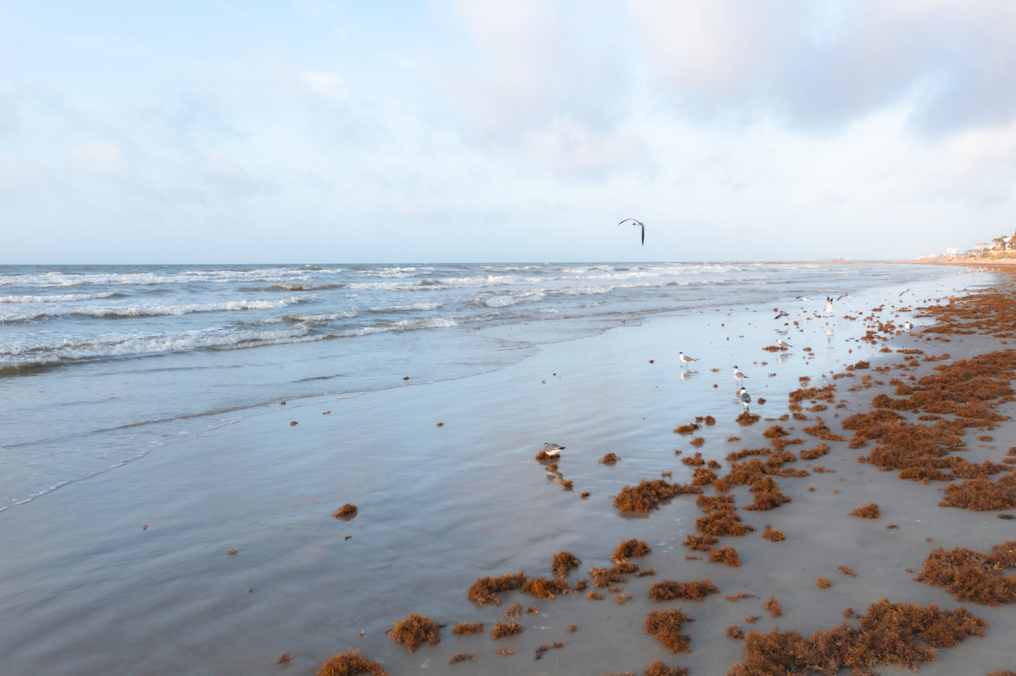 Fly Over the Waves