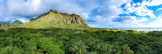 Koolau Canopy Watch
