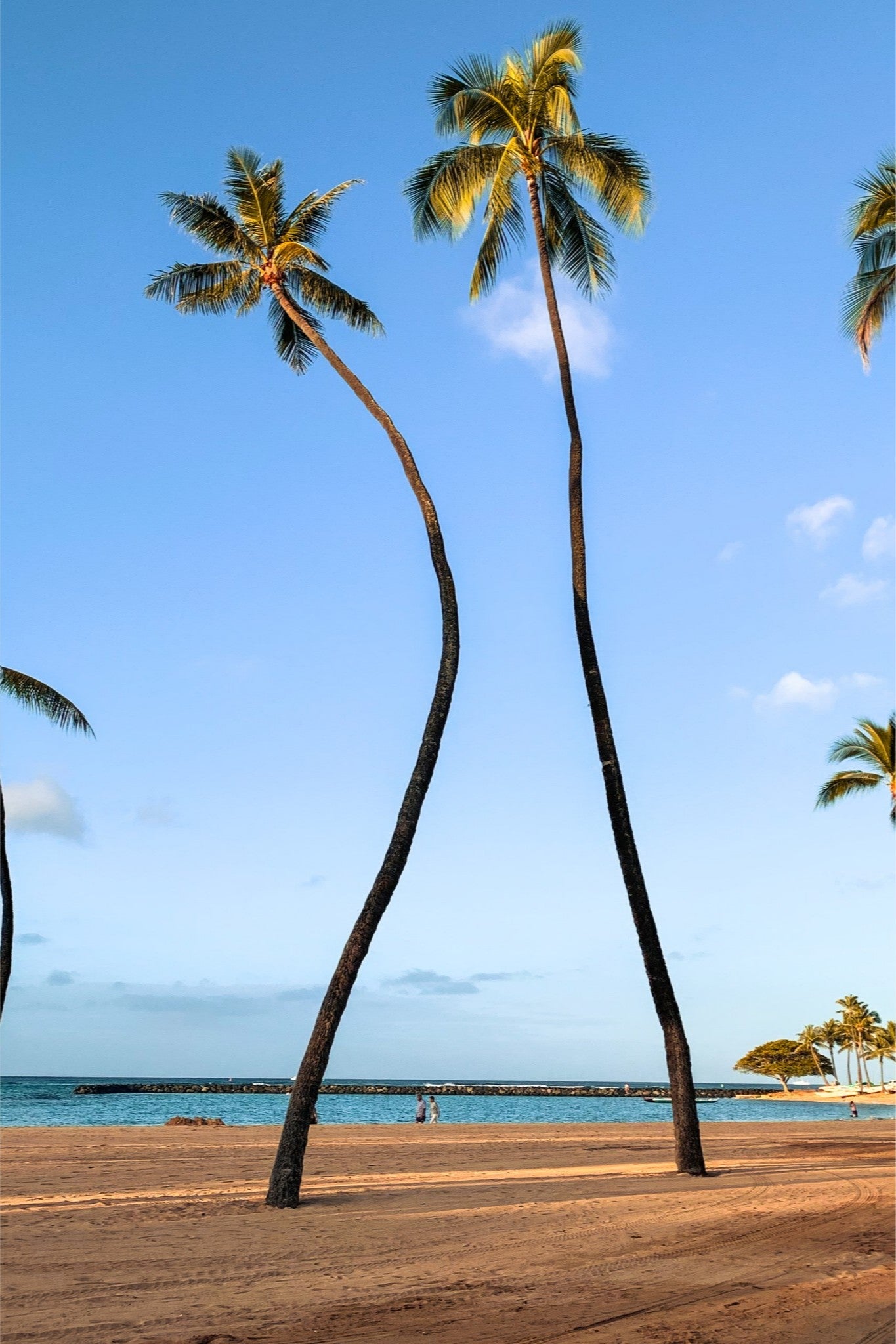 Leaning Toward Paradise