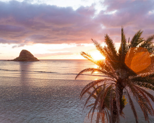 Mokoli'i Flare