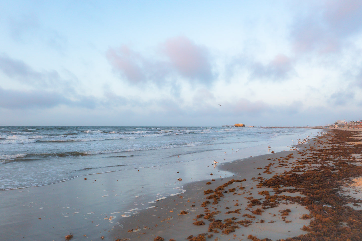 Coastal Morning Solitude