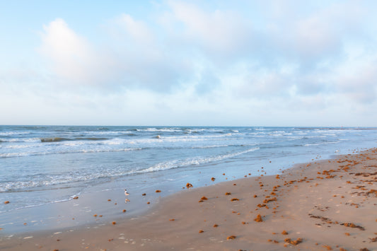 Low Tide Reflections