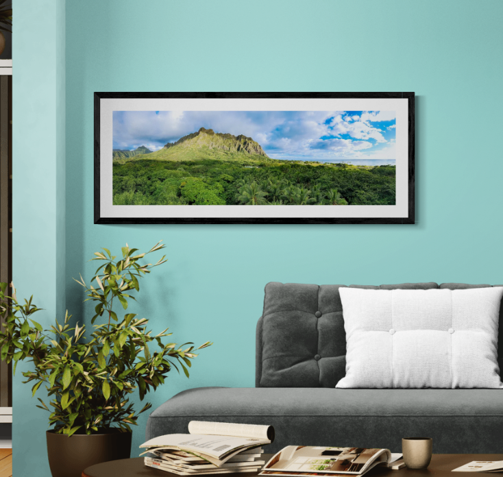 Koolau Canopy Watch