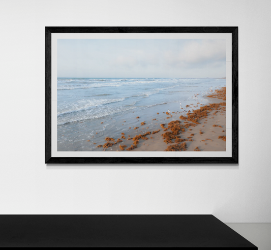 Shoreline Symphony