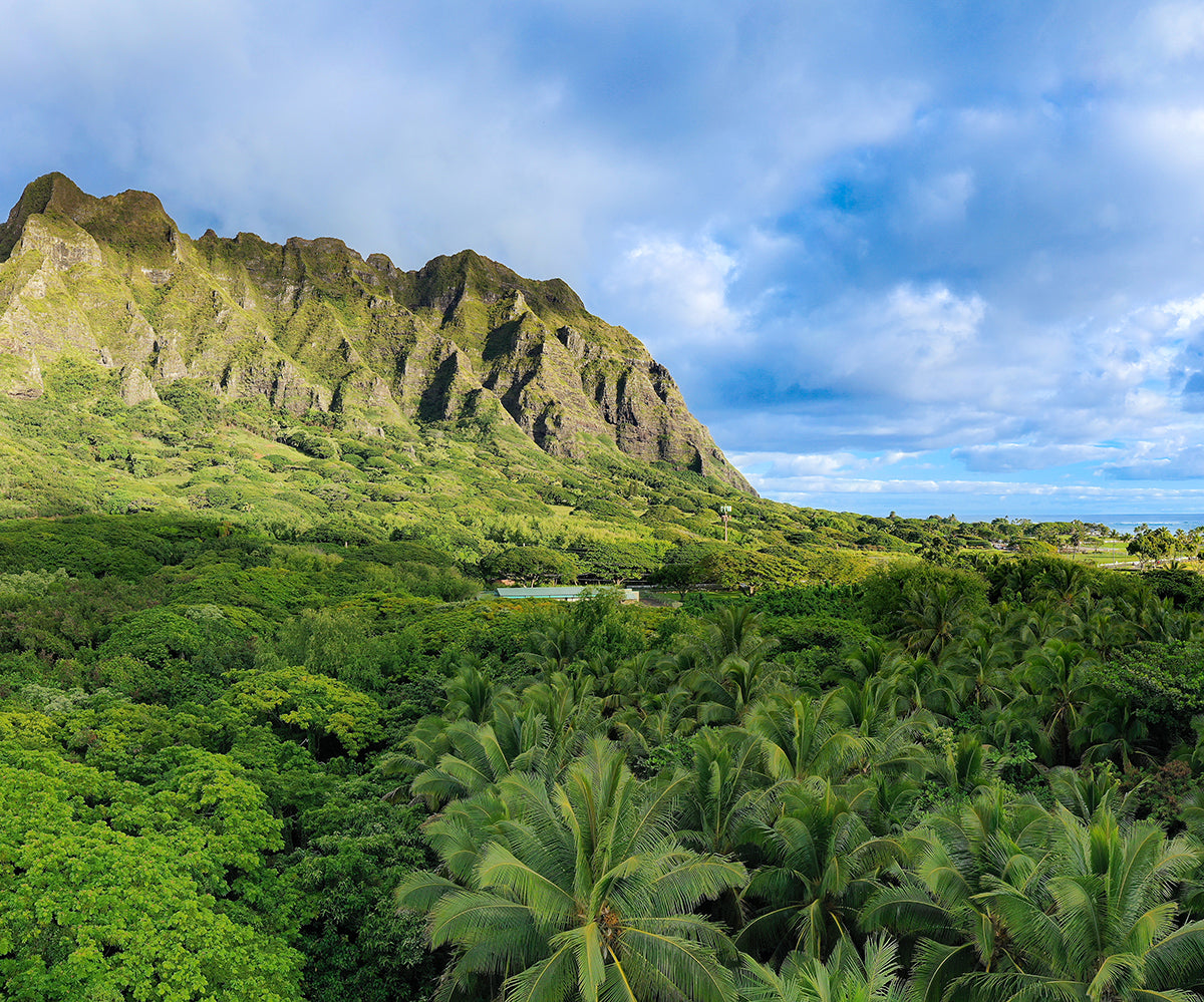 Koolau Canopy Watch